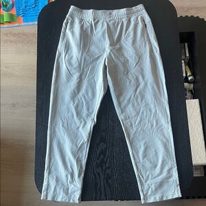 Men's Light Gray Elastic Waist Casual Pants
